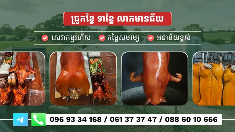 Leap Meanchey