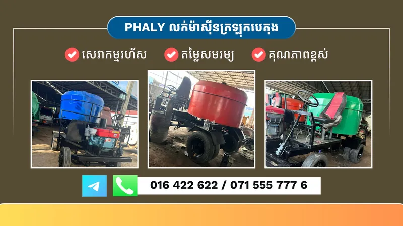 Phally Cover
