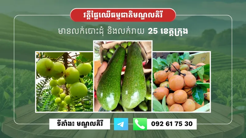Vatey Shop
